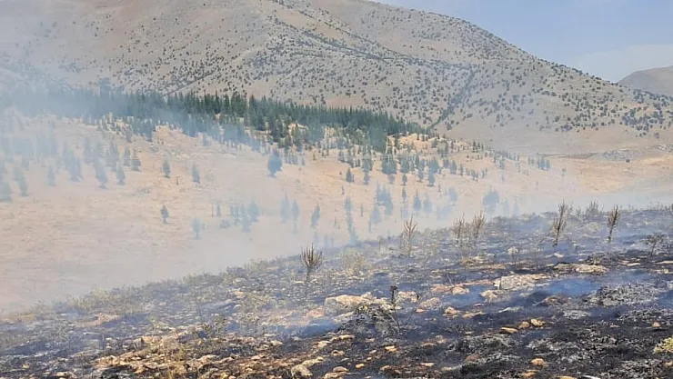 Malatya'daki orman yangını kontrol altına alındı