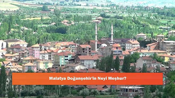 Malatya Doğanşehir'in Neyi Meşhur?