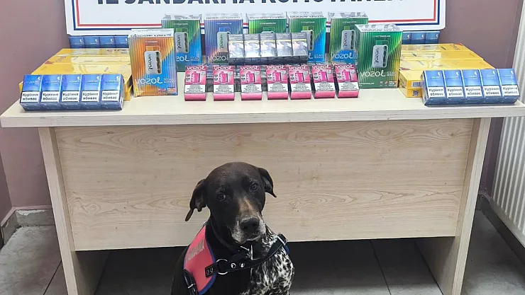 Malatya Kara Yolunda Kaçakçılığa Darbe: 2 Gözaltı