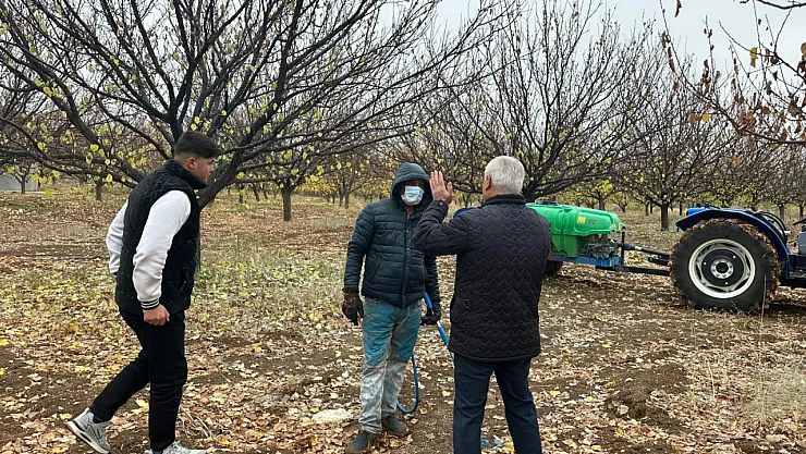 Malatya Kayısısı İçin Kritik Çağrı: Sonbahar Hastalık Mücadelesini İhmal Etmeyin!