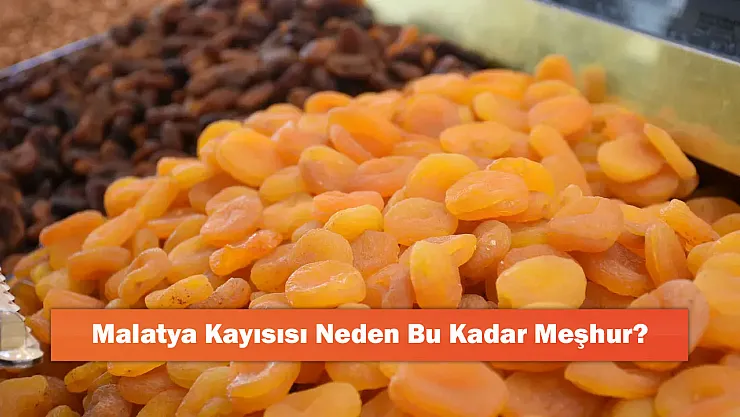 Malatya Kayısısı Neden Bu Kadar Meşhur?