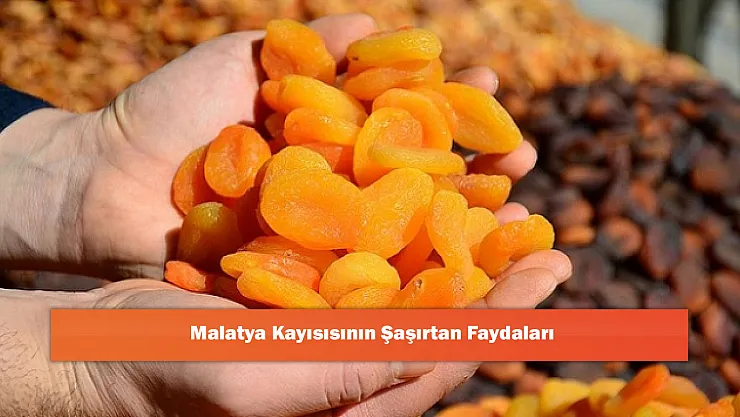 Malatya Kayısısının Şaşırtan Faydaları