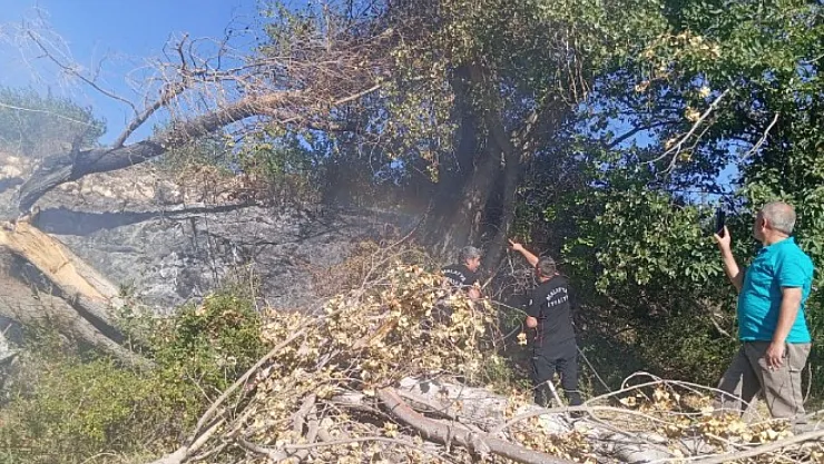 Malatya Kuluncak'ta Elektrik Hattı Yangını Panik Yarattı: Tehlikeye Karşı Uyarılar Dikkate Alınmadı İddiası