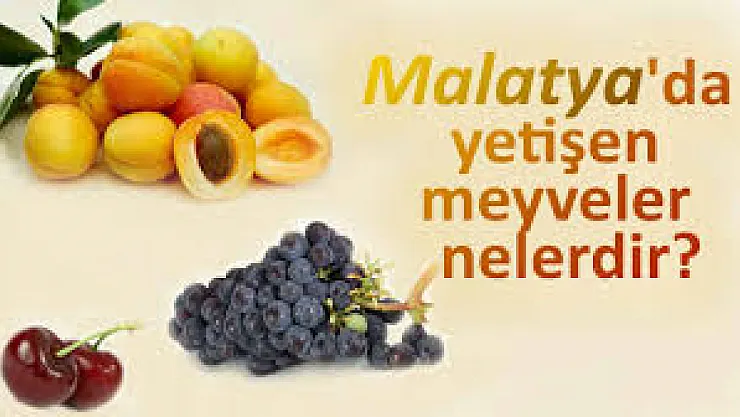 Malatya'nın Meyve Bahçelerindeki Zenginlik