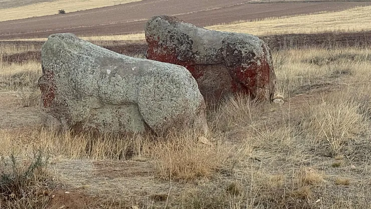 Malatya'nın Tarihi Eserleri İçin Yerinde Koruma Onayı