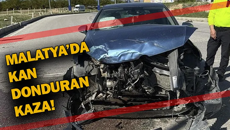 Malatya'da kan donduran kaza!