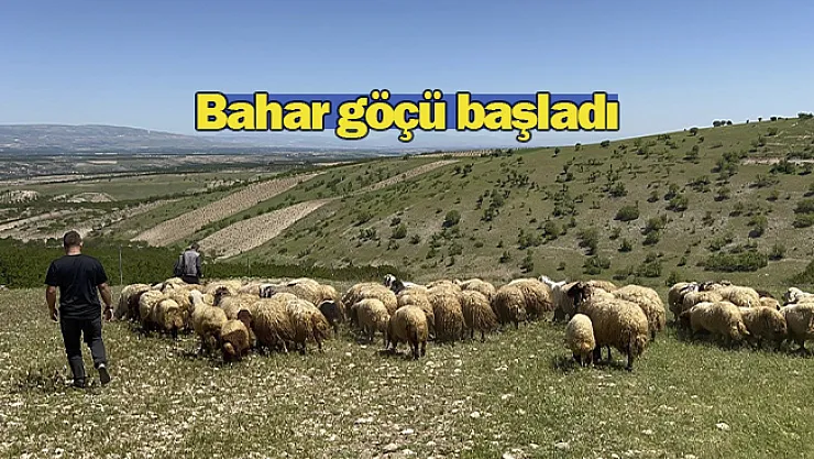 Malatya'da yetiştiriciler yayla yoluna çıktı
