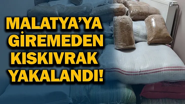 Malatya'ya giremeden kıskıvrak yakalandı!