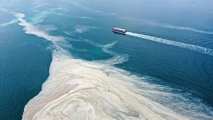 Marmara'da Müsilaj Alarmı Sürüyor: 55 Tesis Mühürlendi, Cezalar 822 Milyon TL'yi Aştı