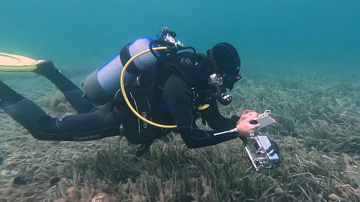 Marmara Denizi'nde Bu Sonbahar Müsilaj Görülmedi: Bilim İnsanlarından Umutlu Ancak Temkinli Değerlendirme