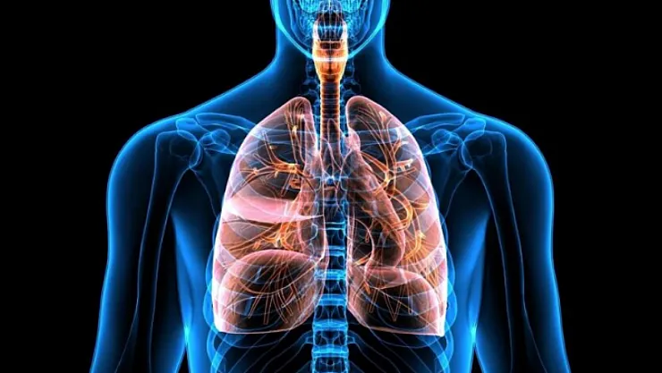 Mevsim Geçişlerinde Astım ve KOAH Hastaları Dikkat!