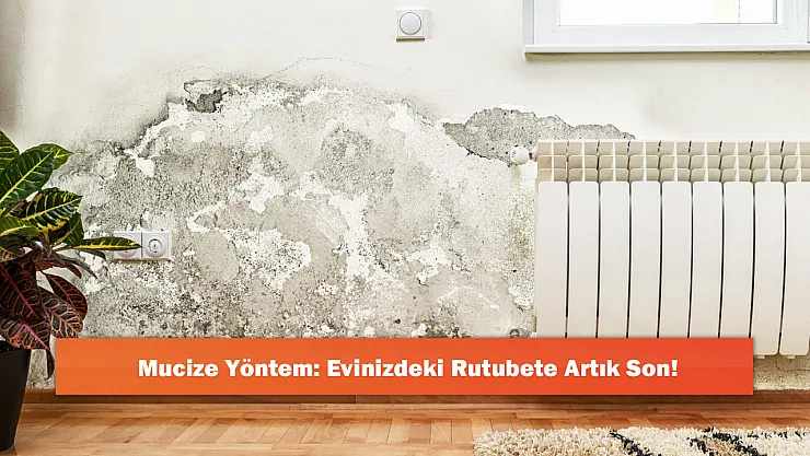 Mucize Yöntem: Evinizdeki Rutubete Artık Son!