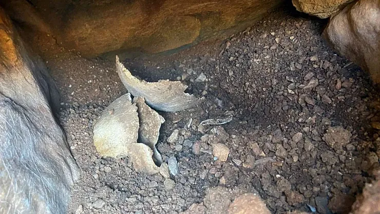 Muğla'da Su Deposu Kazısında Tarih Gün Yüzüne Çıktı: 6 Antik Mezar Bulundu