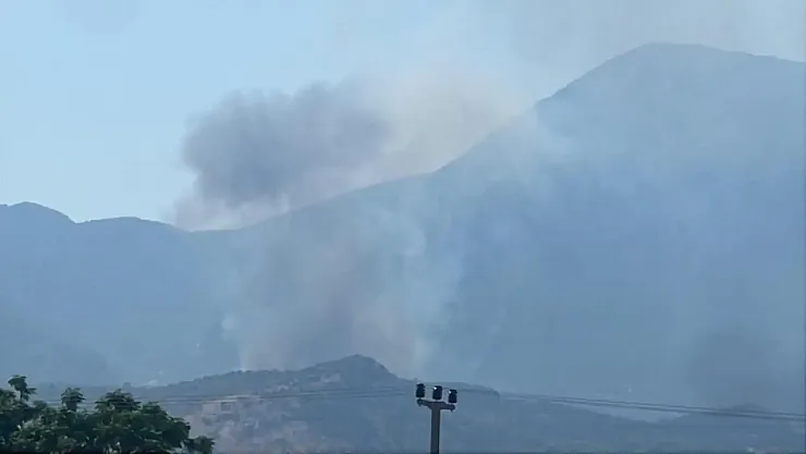 Muğla Seydikemer'de Orman Yangını 4 Saatlik Mücadele Sonrası Kontrol Altına Alındı