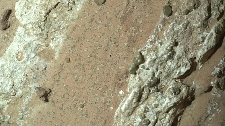 NASA'dan Tarihi Açıklama: Mars'ta Yaşam İzine Dair En Güçlü Kanıt