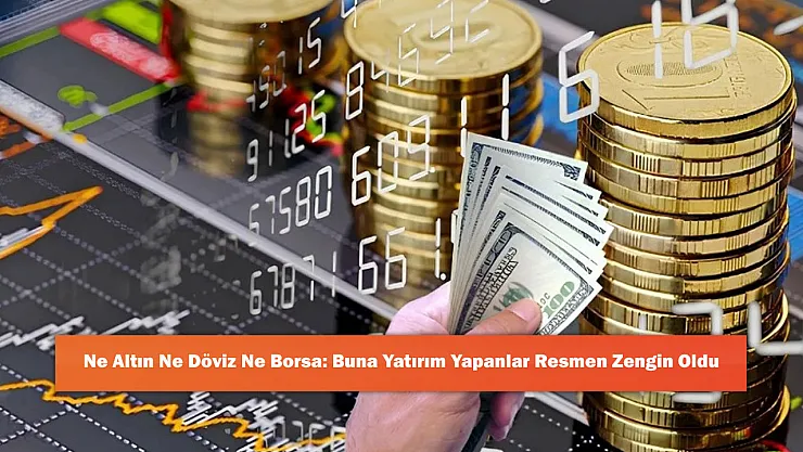 Ne Altın Ne Döviz Ne Borsa: Buna Yatırım Yapanlar Resmen Zengin Oldu