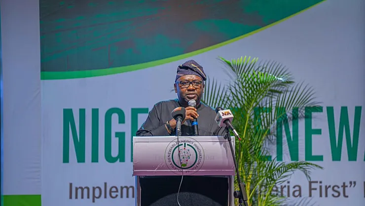 'Nijerya, Yenilenebilir Enerjide 400 Milyon Dolar Üstü Taahhütle Temizlik Enerji Dalgasını Ateşliyor'