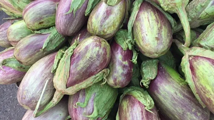 Nizip Patlıcanı İçin Avrupa'dan Tescil Kararı Bekleniyor