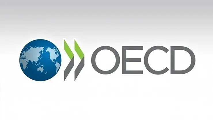 OECD Türkiye'nin 2025 Büyüme Tahminini Yükseltti