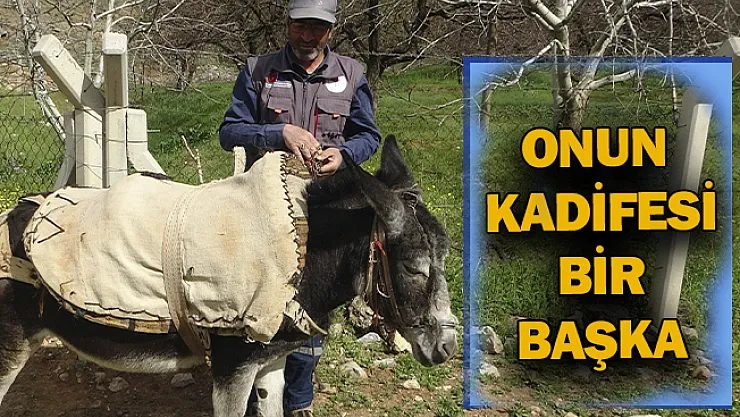 Onun kadifesi bir başka