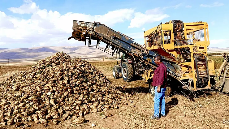 Pancar Tarlasında Emek Var, Kâr Yok