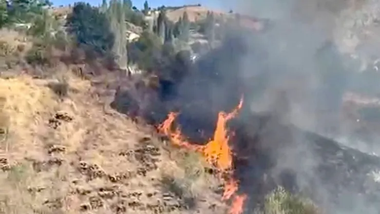 Pütürge'de Yerleşim Alanına Yakın Bölgede Yangın