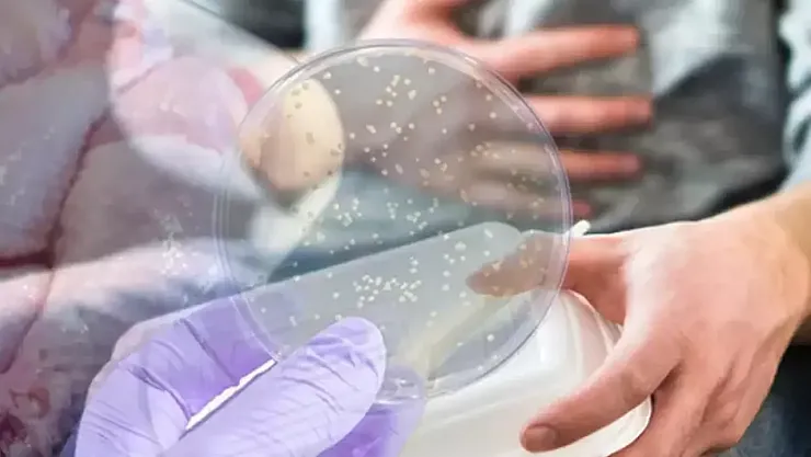 Salmonella'ya Karşı Umut Veren Gelişme: Yeni Aşı Güçlü Bağışıklık Tepkisi Oluşturdu