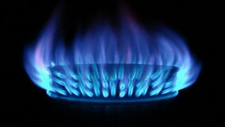 Şehit yakınları ve gazilere doğal gazda indirim müjdesi