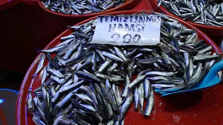 Sezonun Balıkları Tezgahlarda Vatandaşları Bekliyor