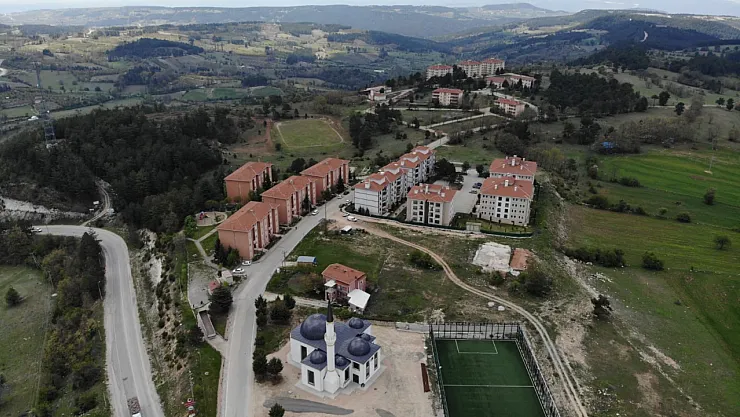 Site bahçesinde yavru ayı paniği: Yönetimden uyarı geldi