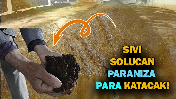 Sıvı solucan paranıza para katacak!