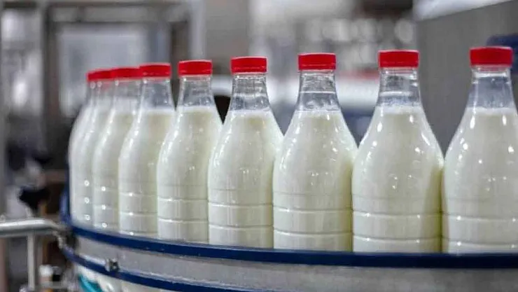 Süt Sektöründe Büyük Soruşturma: 39 Firmaya Rekabet Kurumu'ndan İnceleme