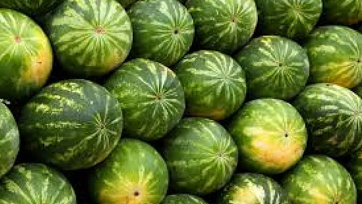 Tarladan Sofraya Uzanan Yolda Karpuz Neden 7 Kat Zamlanıyor?