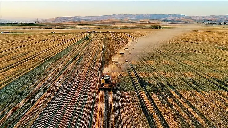 Tekirdağ'da Üç Üretici Örgütü En Üst Dereceyi Aldı! 'Birinci Derece Tarımsal Örgüt Belgesi' Sahiplerini Buldu