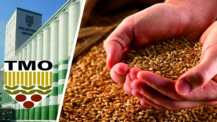 TMO, 6 Tedarikçiden 455 Bin Ton Ekmeklik Buğday İthal Etti