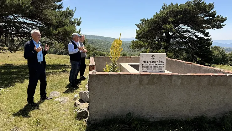 Tokat'ta Tarihi Yalnız Çam Türbesi'ne Yoğun İlgi