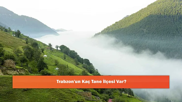 Trabzon'un Kaç Tane İlçesi Var?