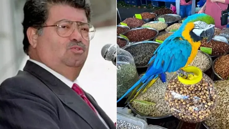 Turgut Özal'a Ait Papağan Cabbar İkinci Kez Çalındı