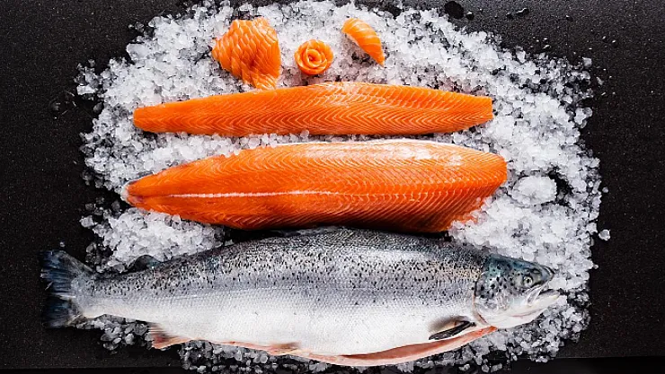 Türk Somonu Dünya Pazarında Güçleniyor
