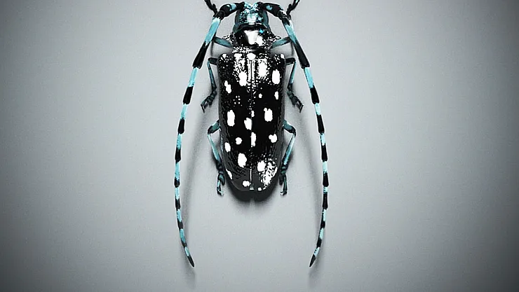 Türkiye biyolojik saldırı altında mı?