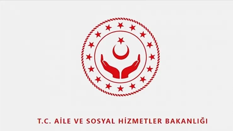 Türkiye'de Kadına Yönelik Şiddet Araştırması 2024 Tamamlandı: Yeni Politikalar Yolda
