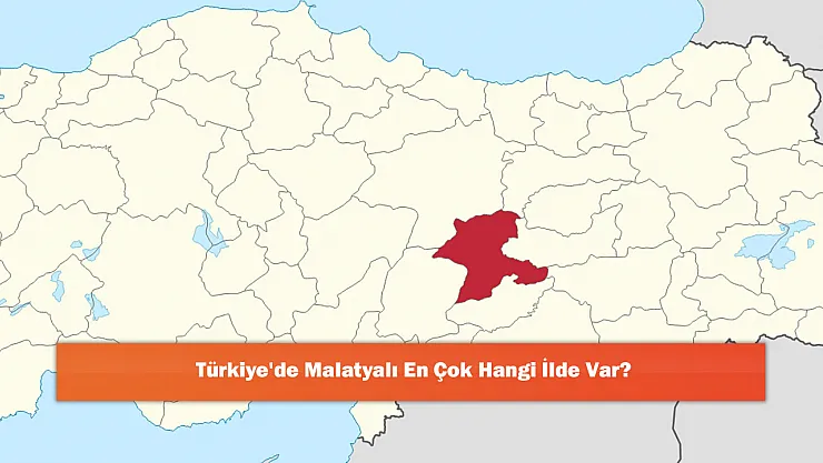 Türkiye'de Malatyalı En Çok Hangi İlde Var?
