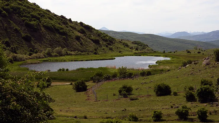 Türkiye'nin Ekosistemine 5 Yeni Doğal Miras