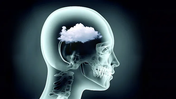 Uzmanlardan Kritik Uyarı: Tabağınızdaki Bazı Yiyecekler Beyin Sisine Yol Açabilir