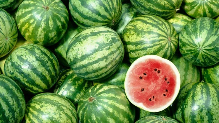 Yapay zeka pazara indi, karpuz seçimine başladı