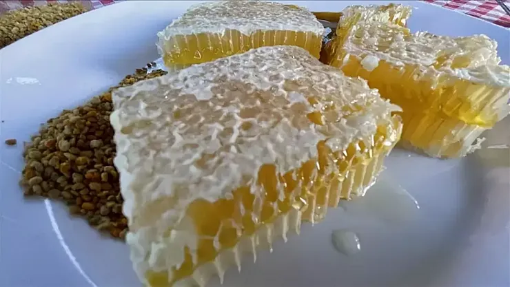 Yenice Ihlamur Balına Avrupa'dan Büyük Onay: AB Coğrafi İşaret Tescili Aldı!