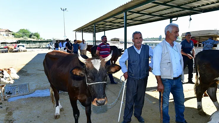 Yeşilyurt Belediyesi 41 noktada kurban satış ve kesim yeri belirledi