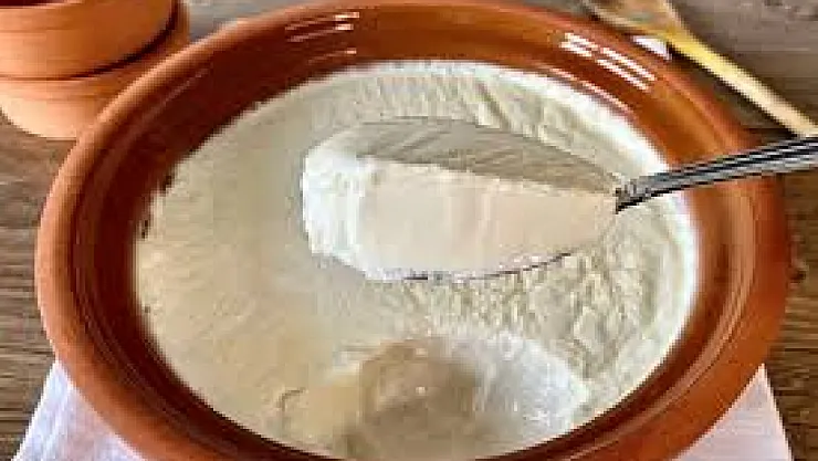 Yoğurt Gerçekten Kemikleri Güçlendiriyor mu? Bilim Cevabı Verdi!