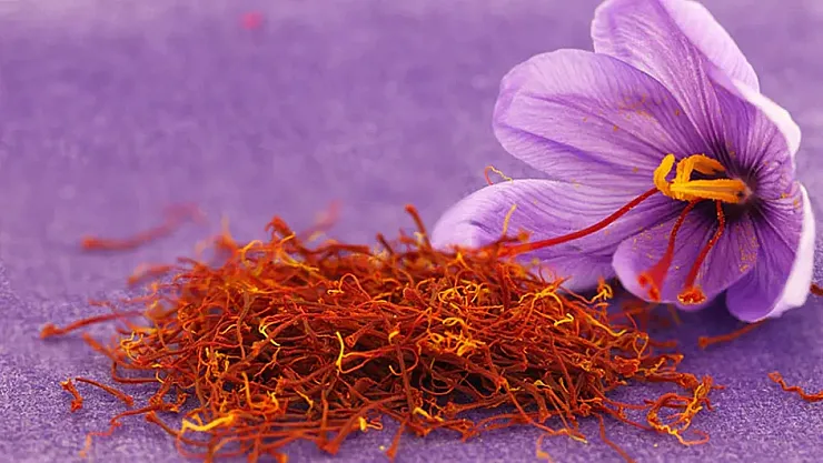 Yüksekova'da Kadınlardan Tarımsal Devrim: İlk Kez Safran Ekimi Gerçekleştirildi!