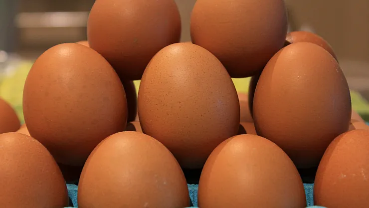 Yumurta Fiyatlarında Dalgalanma: Mayıs Çukuru Geride Kalıyor